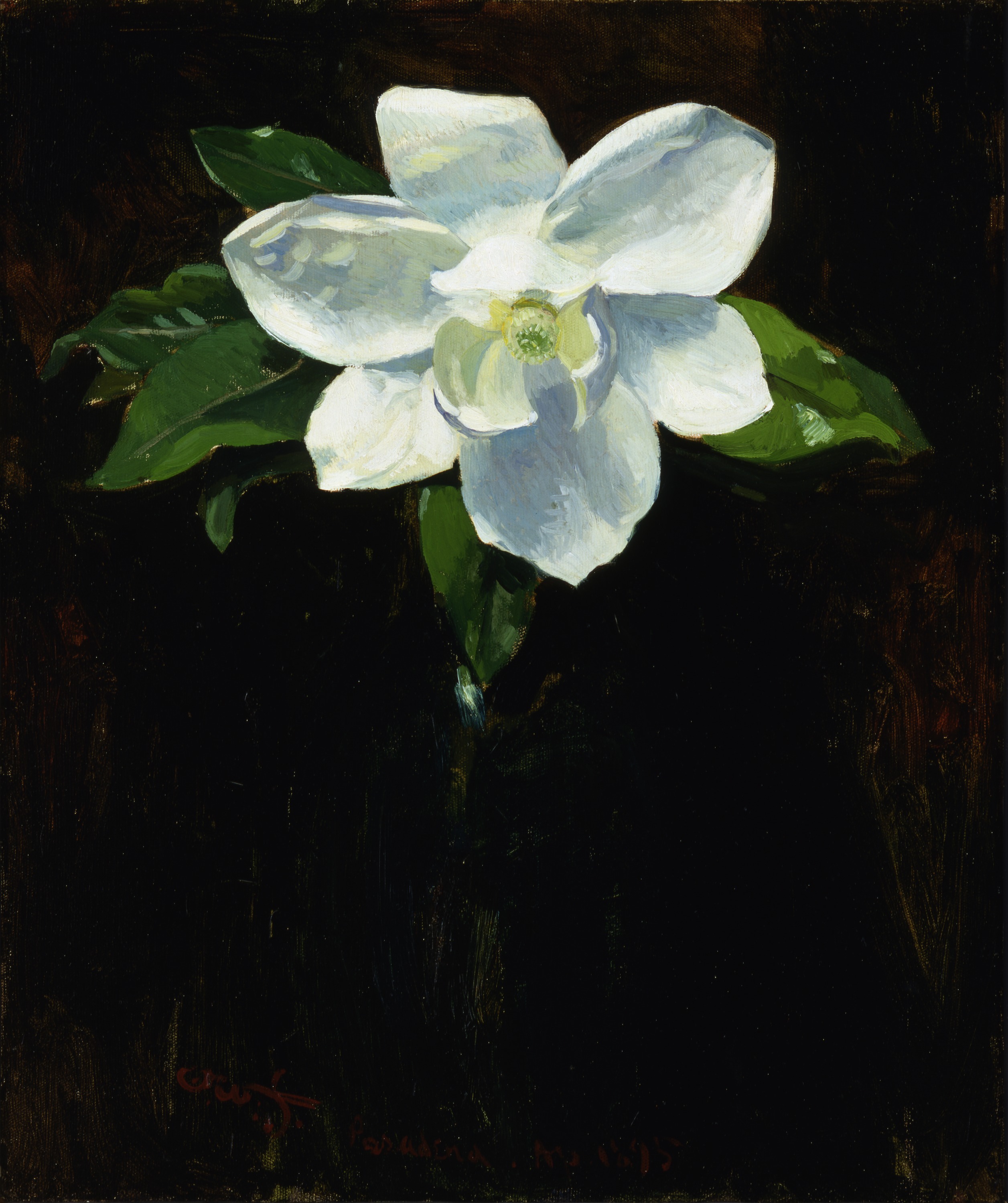 Charles Walter Stetson, Magnolia