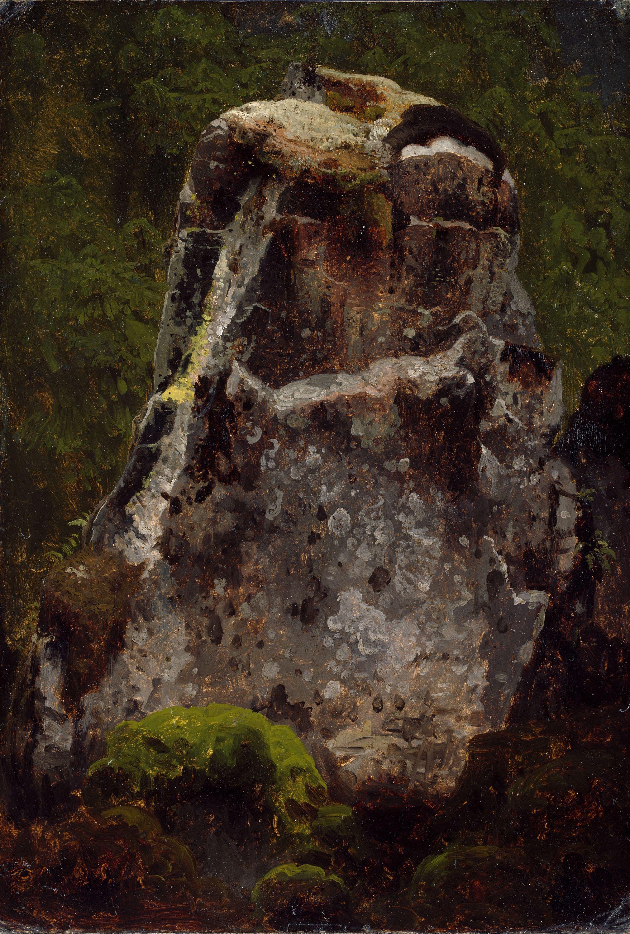 August Cappelen, Study of a Rock