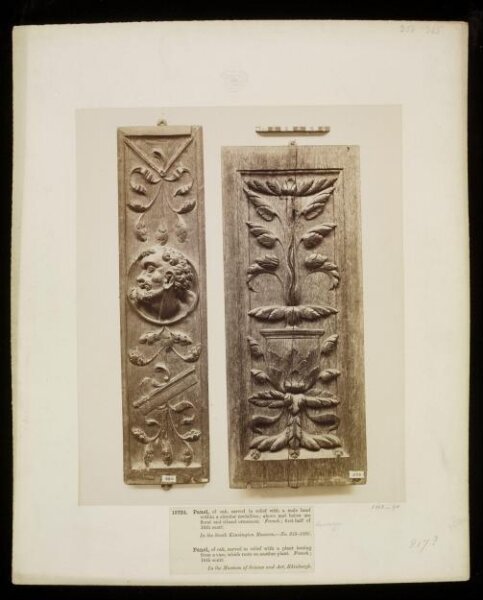Unknown, Photograph