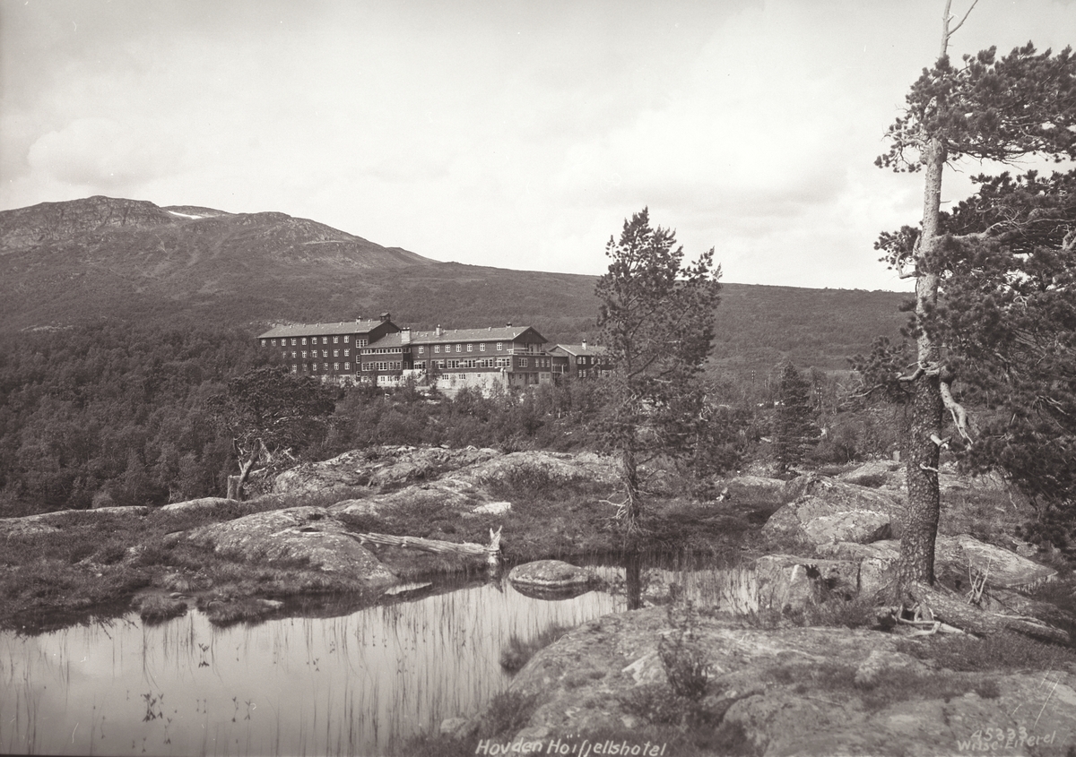 Anders Beer Wilse, Prot: Hovden Høifjellshotell