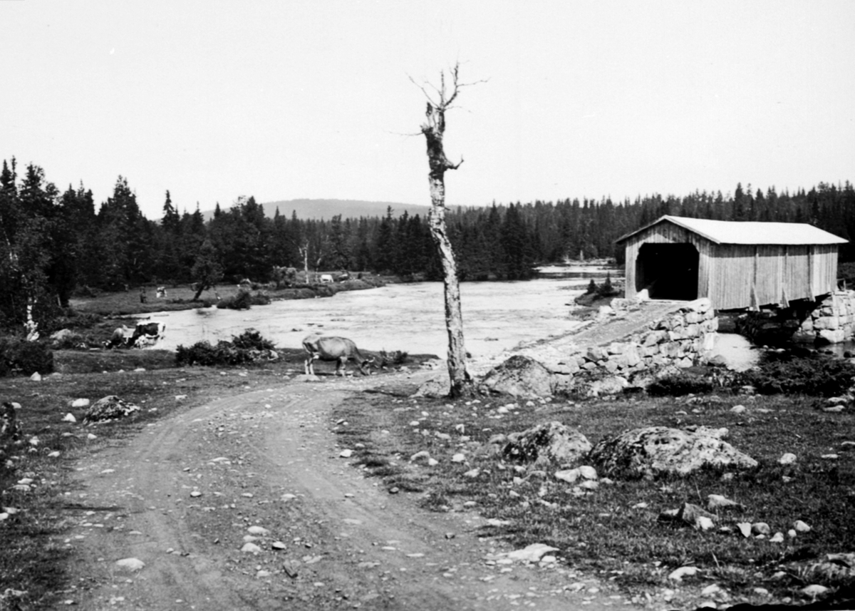 Anno Domkirkeodden, Bru over Åsta, Nedre Åstabrua, bru med overbygning, Åstadalen, Ringsakerfjellet.