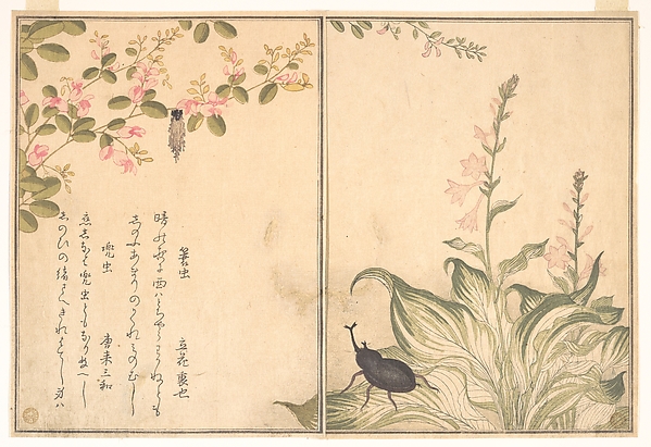Kitagawa Utamaro, Bagworm (Minomushi); Horned Scarab Beetle (Kabutomushi), from the Picture Book of Crawling Creatures (Ehon mushi erami)