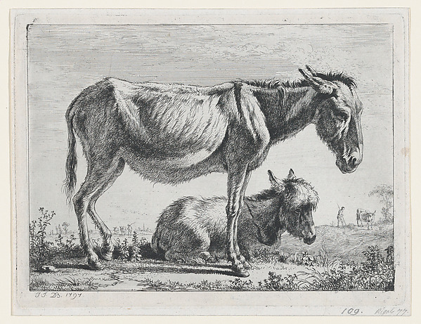 Jean Jacques de Boissieu, Jenny with its Foal