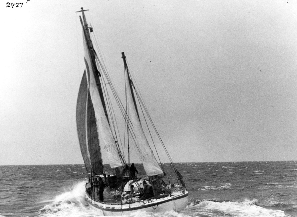 Anders Beer Wilse, Redningsskoyter