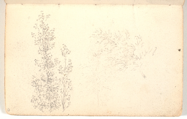 Martinus Rørbye, Studier af grene