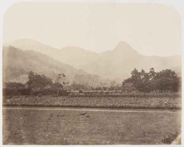 Kerr, Henry, Photograph