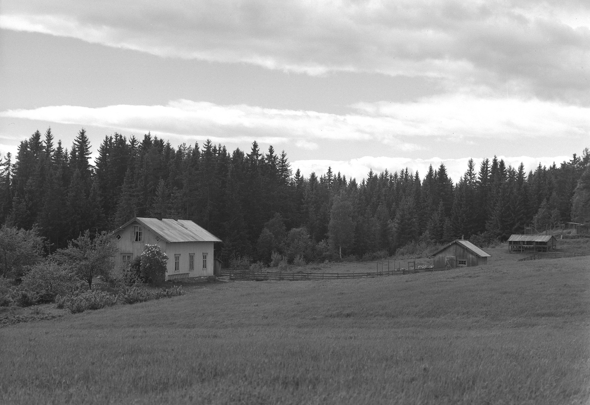 Anno Domkirkeodden, EKSTR: GARDSTUN, MO. Se Løtenboka, bind 1. Bygdeboka fra 1949, side 133