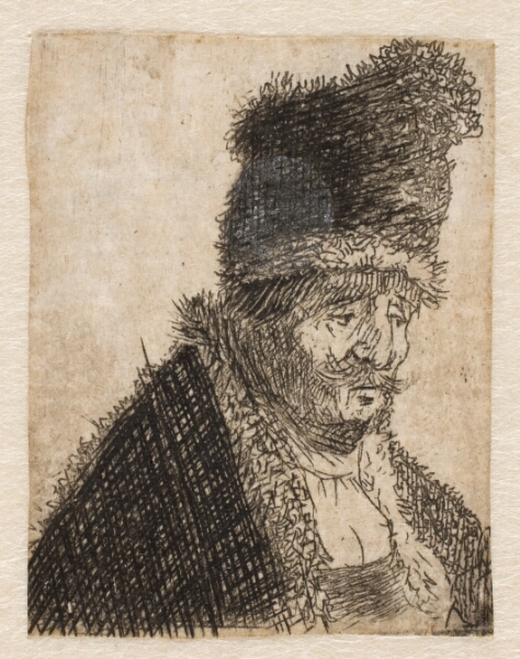 Rembrandt van Rijn, Hoved af gammel mand med pelshue