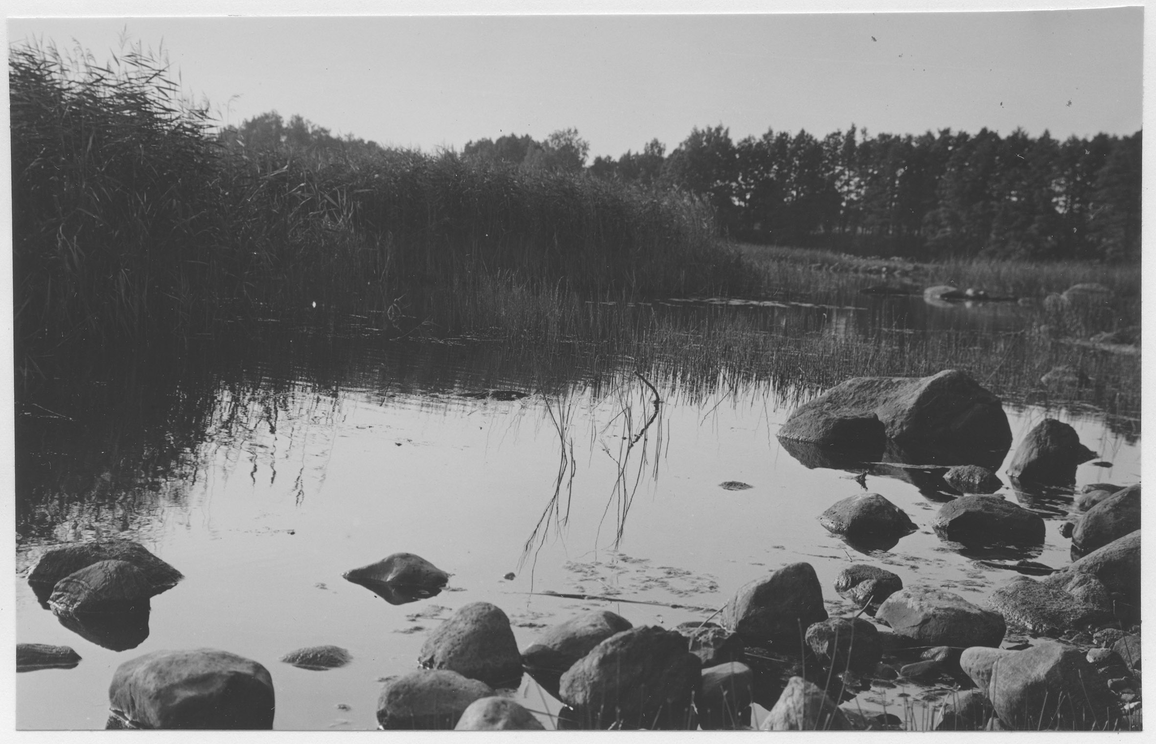 Mårten Sjöbeck, Vibysjön