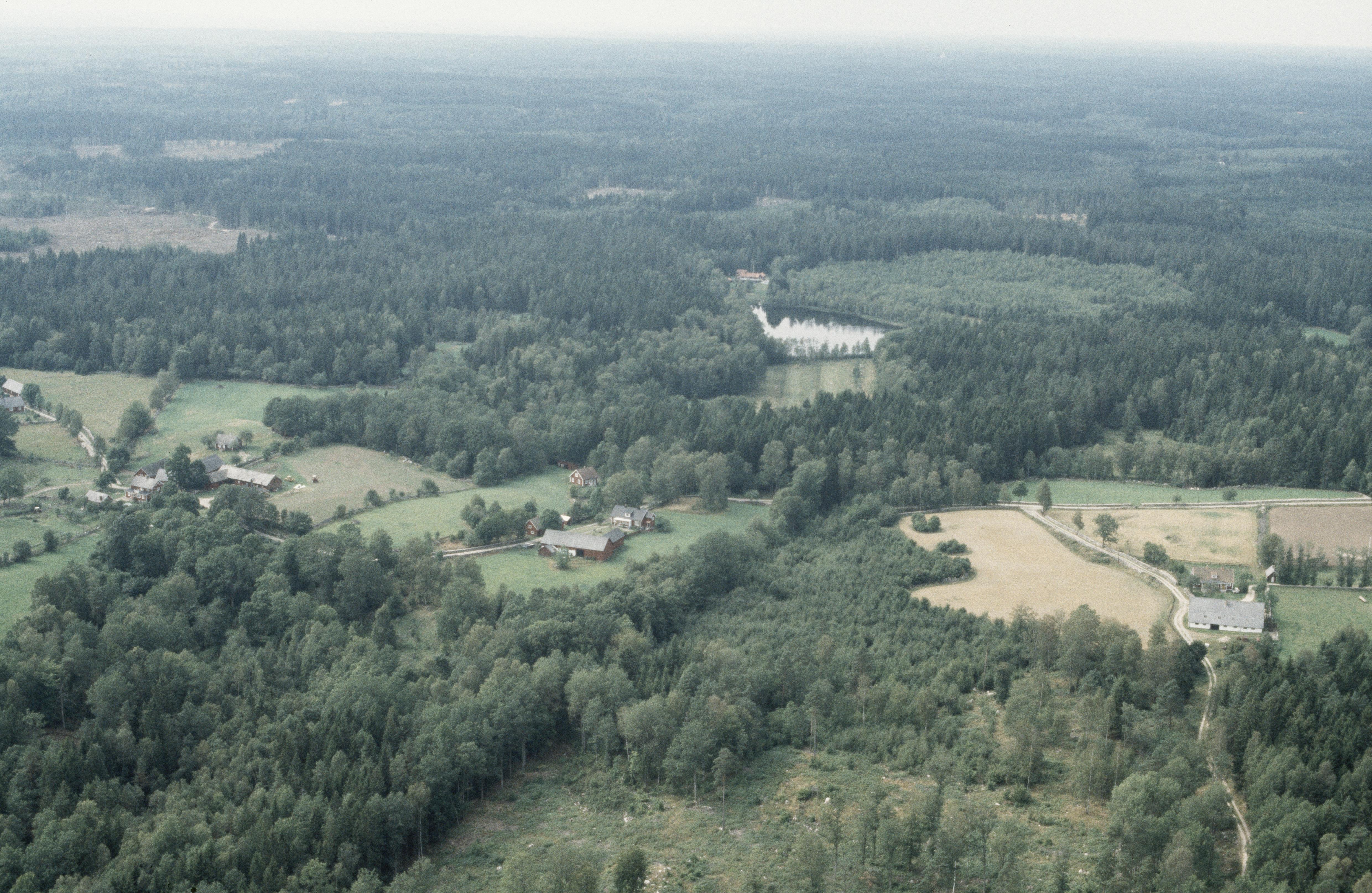 Jan Norrman, Ringamåla 131