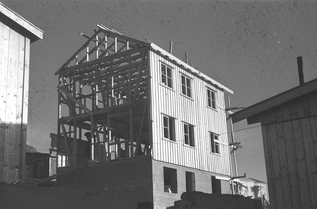 Ola Hanche-Olsen, NO.F004032