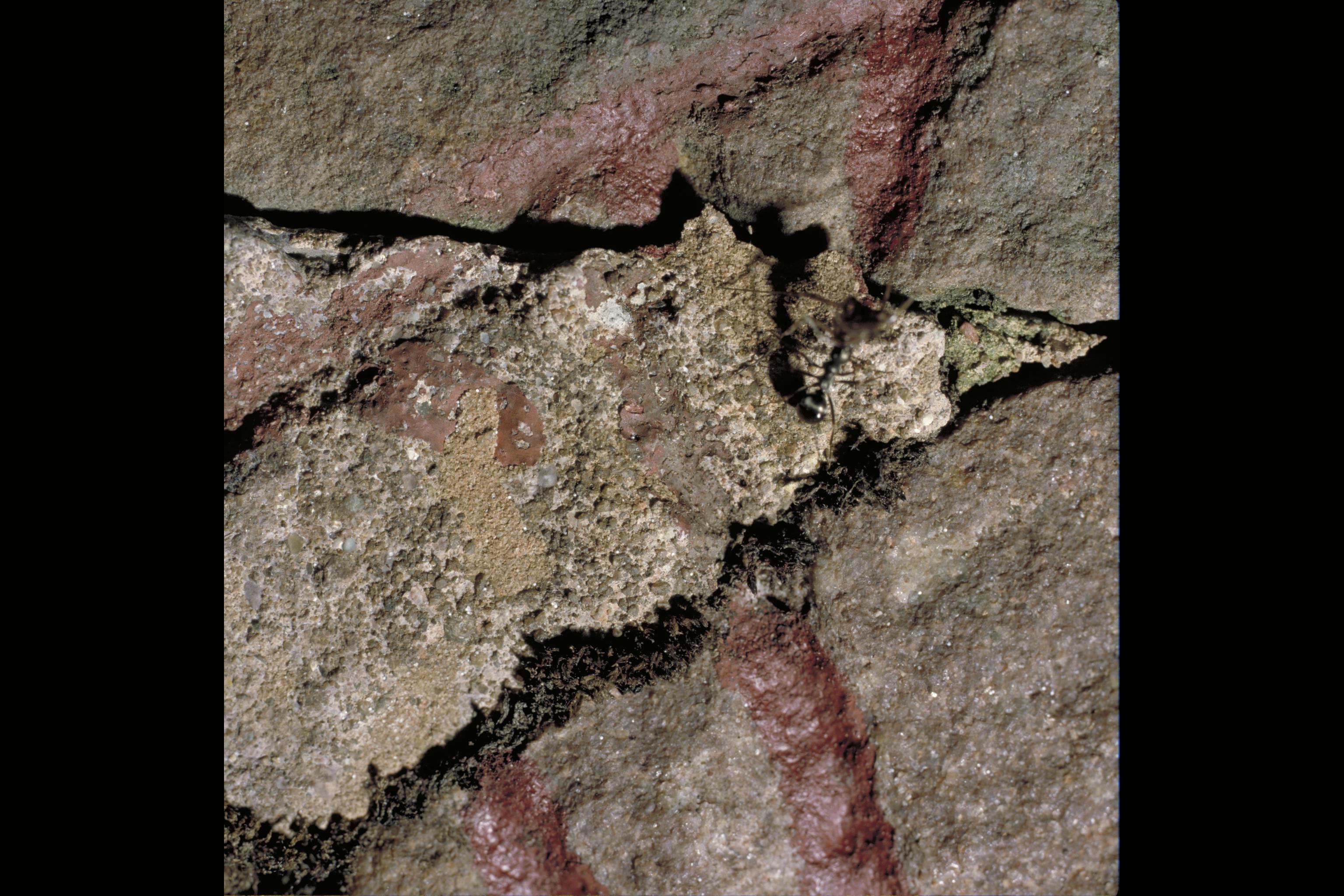 Bengt A Lundberg, U1149 Fleräng