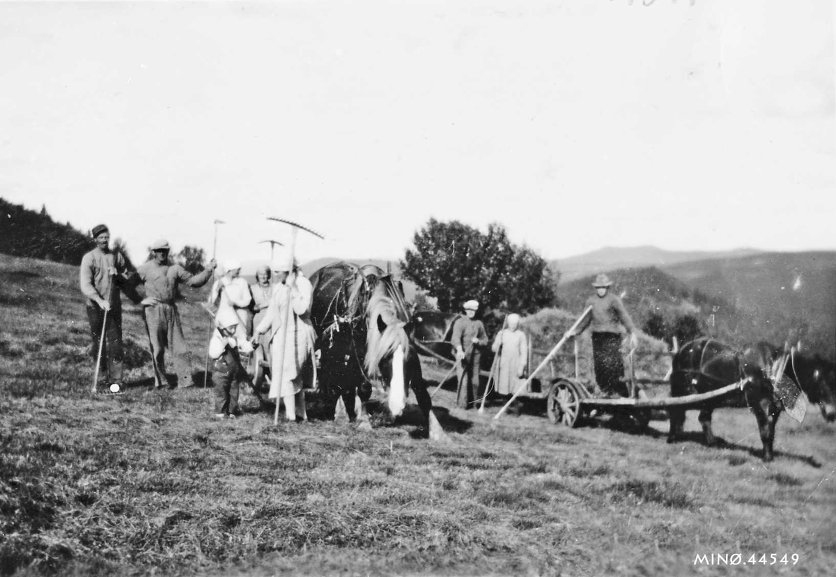 Rachel Haarseth, Slåttonn, hest, vogn, personer, river.