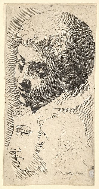 Wenceslaus Hollar, Three heads