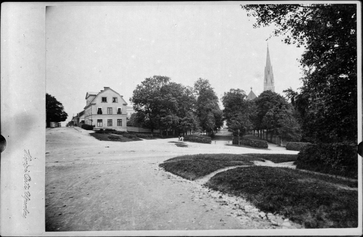 Henri Osti's Fotografiateliér, Reprofotografi - vy mot Odinslund, Uppsala före 1914