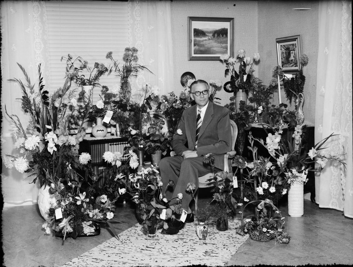 Skötsner-Edhlund, Man omgiven av blommor i bostadsmiljö, Östhammar, Uppland