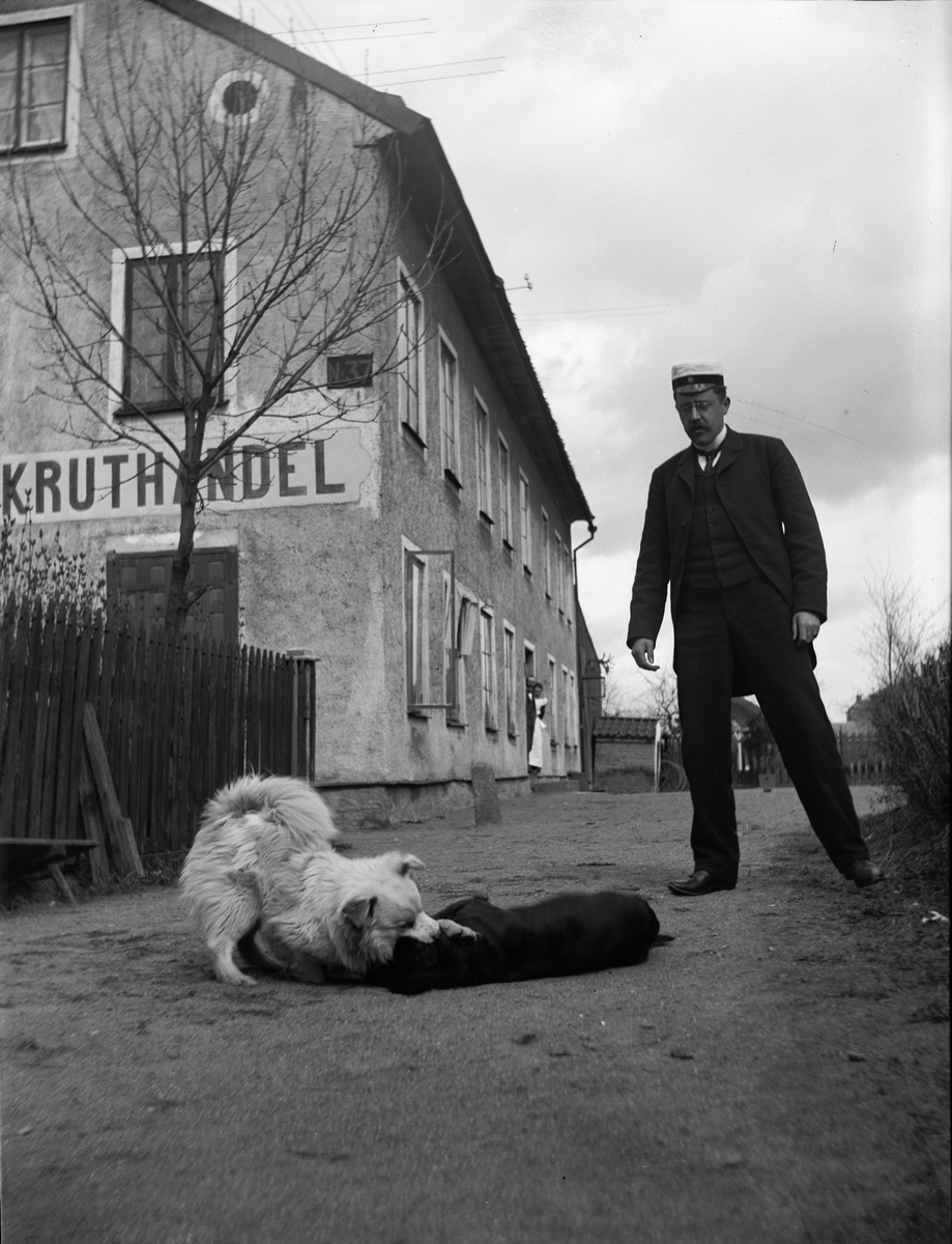 Carl Liljefors, Andreas Grill och hundarna Jack och Lasko, kvarteret Edda, Svartbäcksgatan 37, Uppsala 1900 - 1901