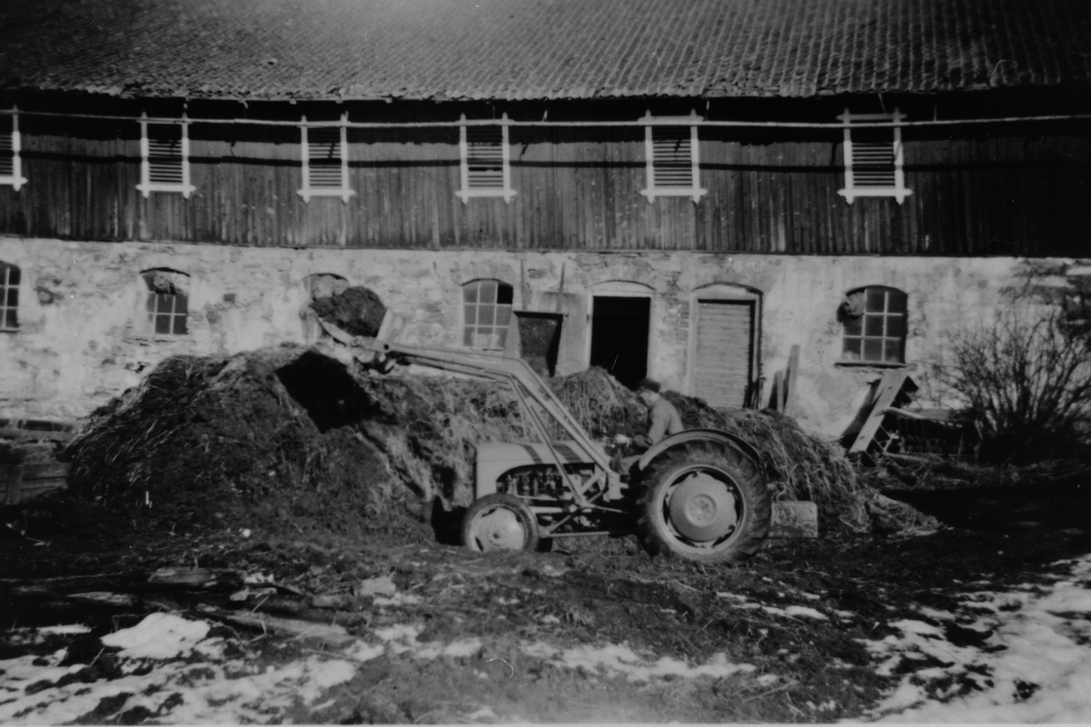 Anno Domkirkeodden, MØKK-KJØRING FRA GJØDSELDYNGA, OLE KONGSHAUG PÅ TRAKTOREN, SKØIEN