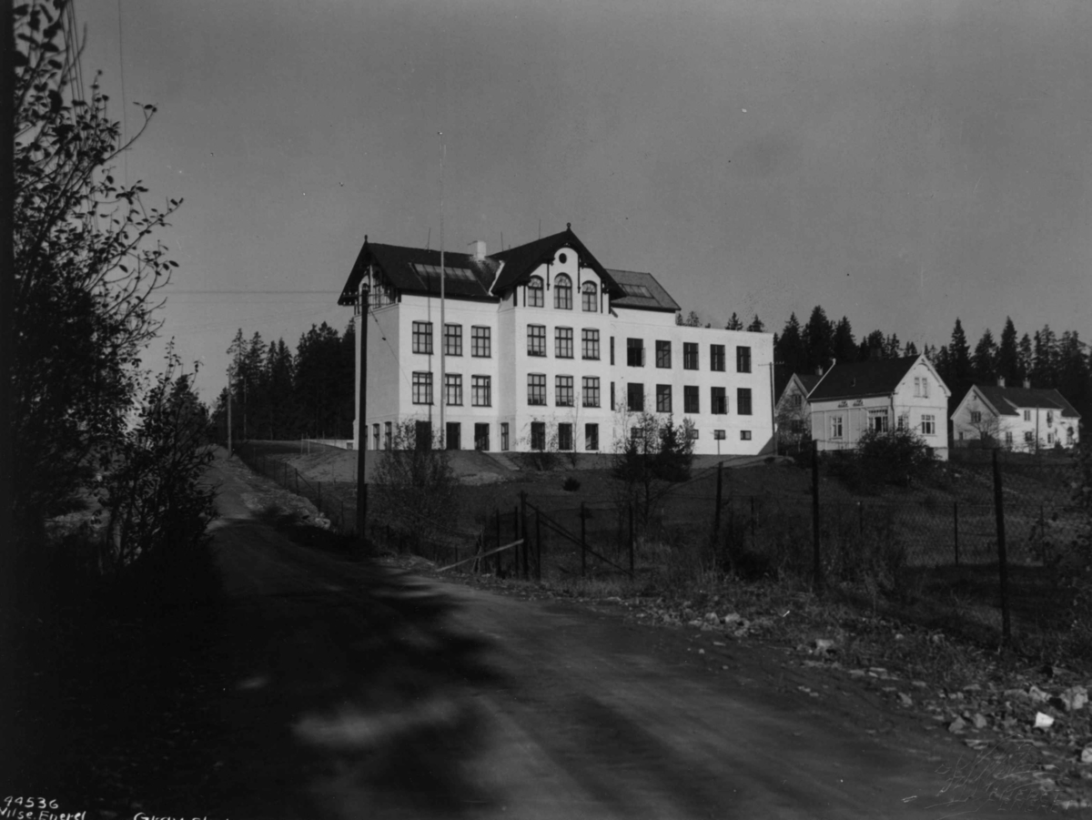 Anders Beer Wilse, Grav skole.