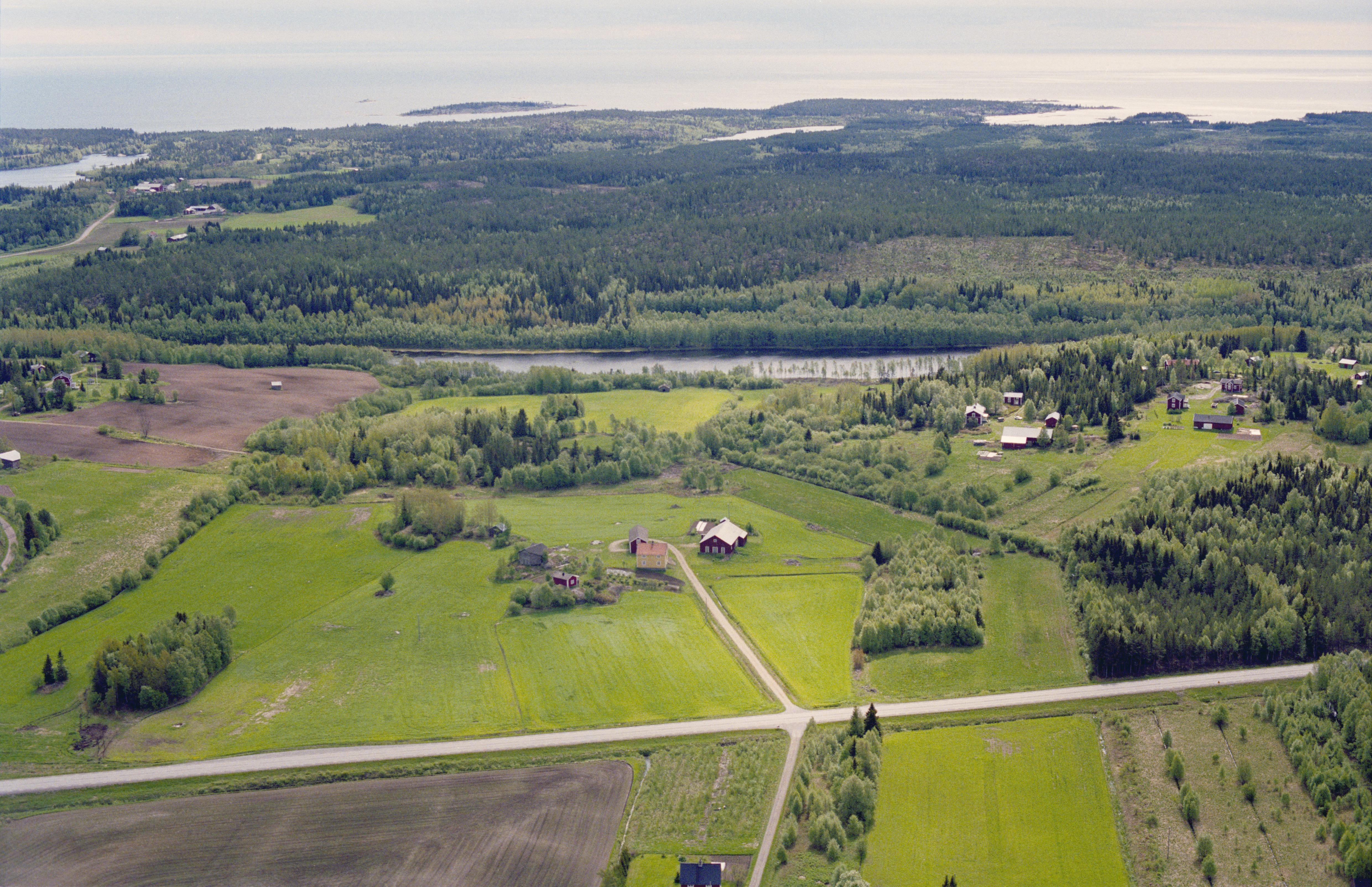 Jan Norrman, Lövånger 348:1