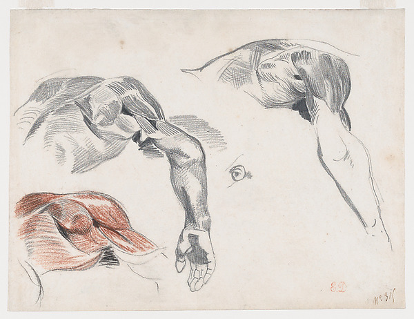 Eugène Delacroix, Écorché: Three Studies of a Shoulder