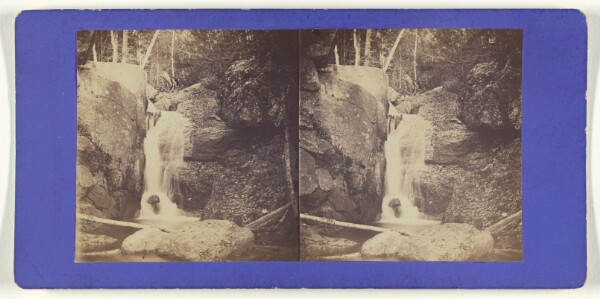 Unknown, Artist's Fall.