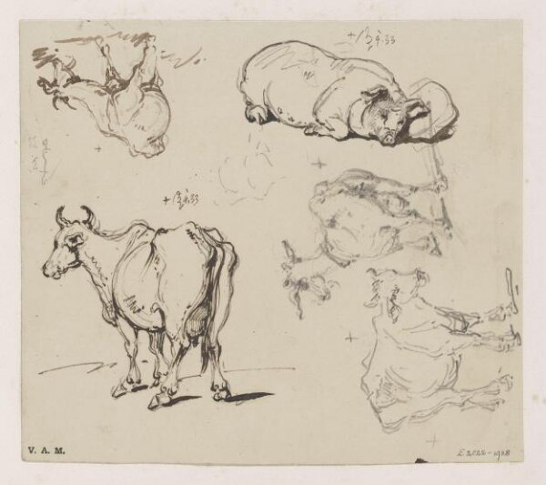 George Chinnery, Drawings of animals