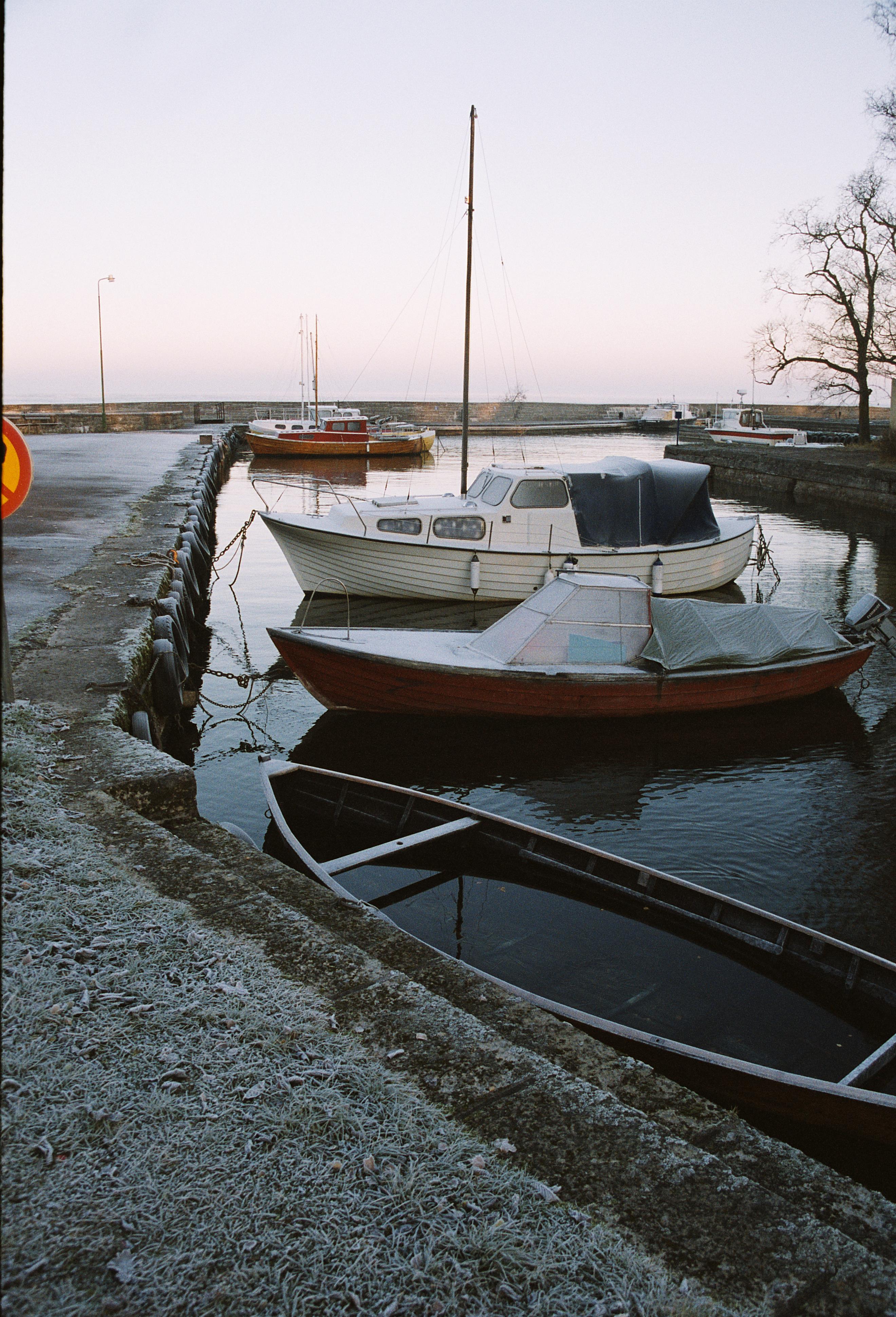Bengt A Lundberg, Borghamns fiskehamn