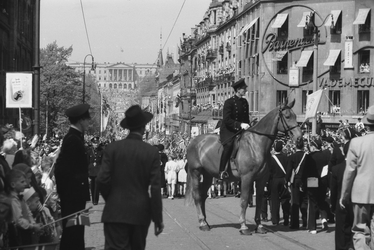 Anders Beer Wilse, Prot: 17. mai Toget