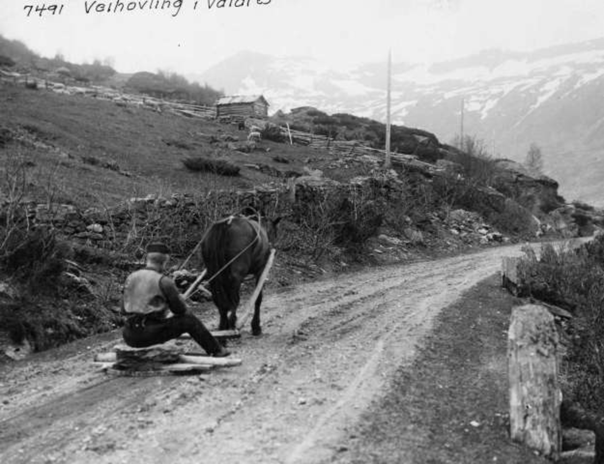 Anders Beer Wilse, -8333