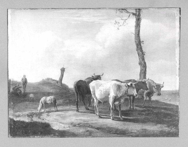 Paulus Potter, cows