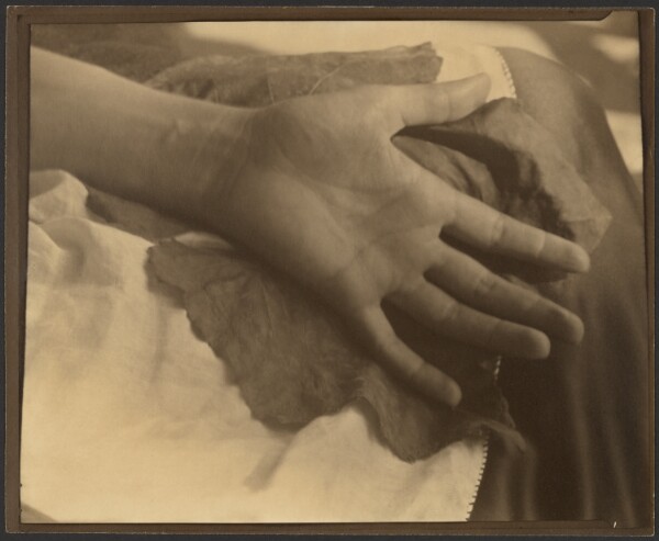 Alfred Stieglitz, Georgia O'Keeffe: A Portrait - Hand and Grape Leaf