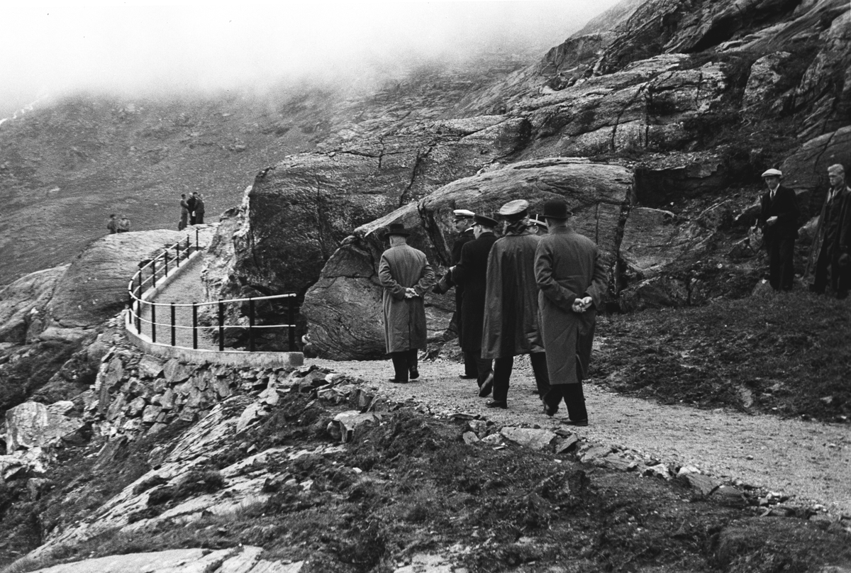Anders Beer Wilse, Prot: Romsdal