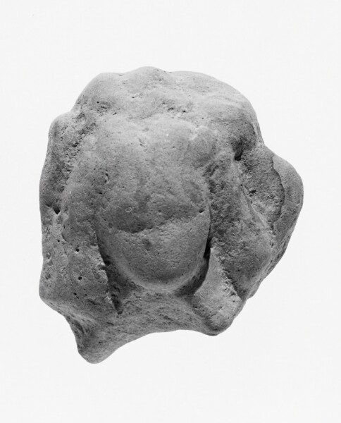 Unknown, Female Head