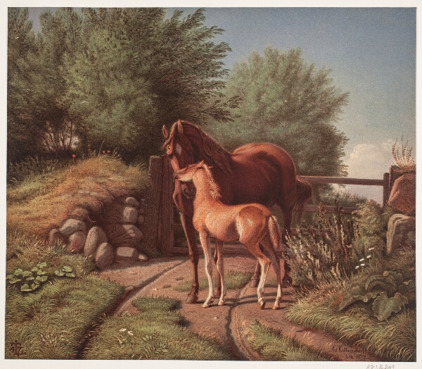 Adolph Kittendorff, En hoppe med sit føl