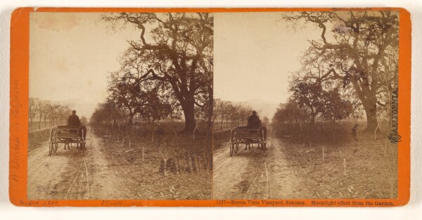 Eadweard J. Muybridge, Buena Vista Vineyard, Sonoma. Moonlight effect from the Garden.