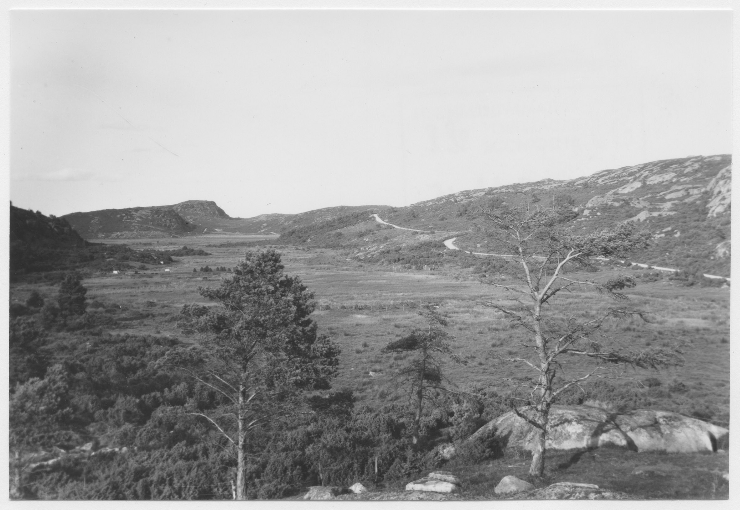 Mårten Sjöbeck, Hedar