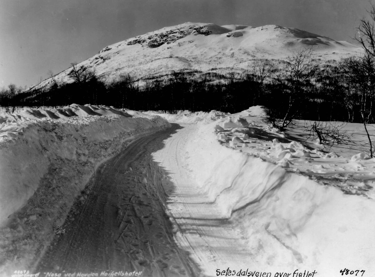 Anders Beer Wilse, Hovden, sno.