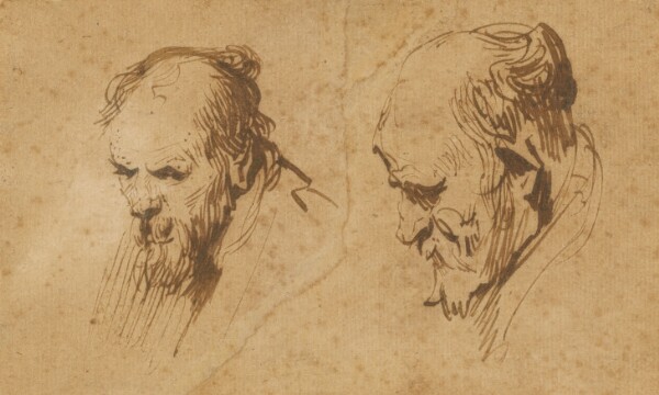 Rembrandt Harmensz. van Rijn, Two Studies of the Head of an Old Man