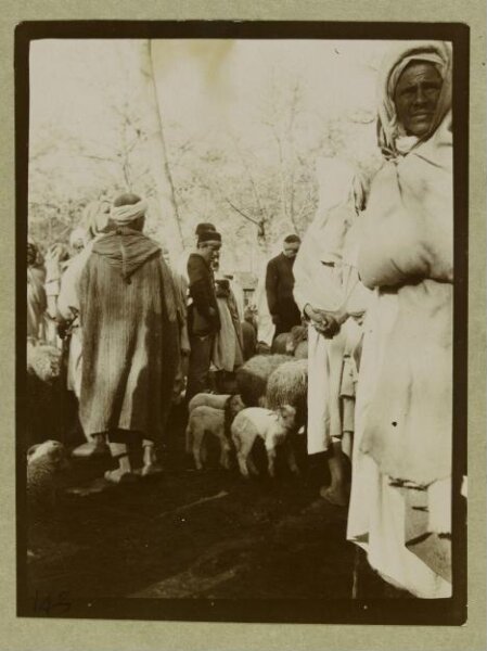 Unknown, Photograph