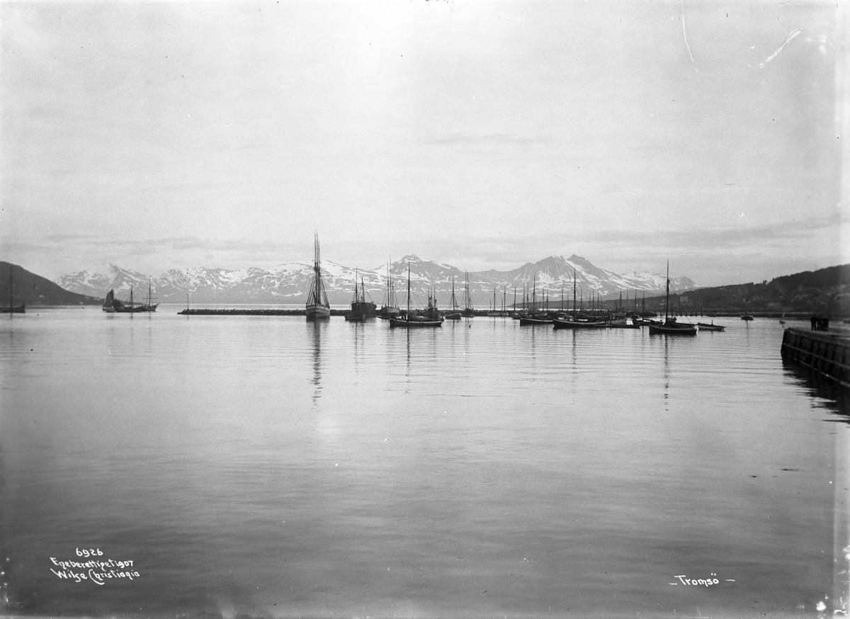 Anders Beer Wilse, Prot: Tromsø Havneparti