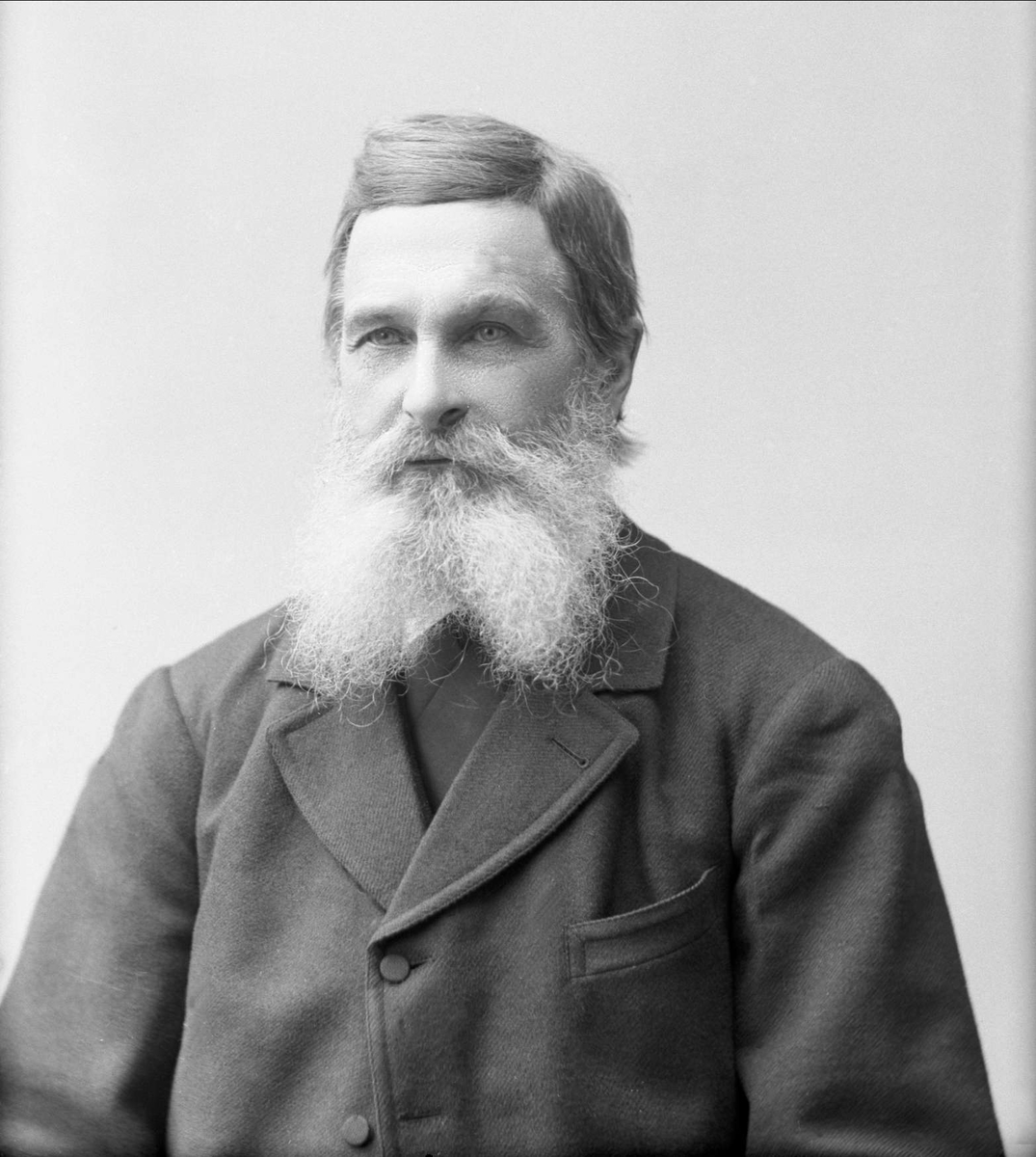 Gustav Borgen, Portrett av David Broch Sommerfelt.
