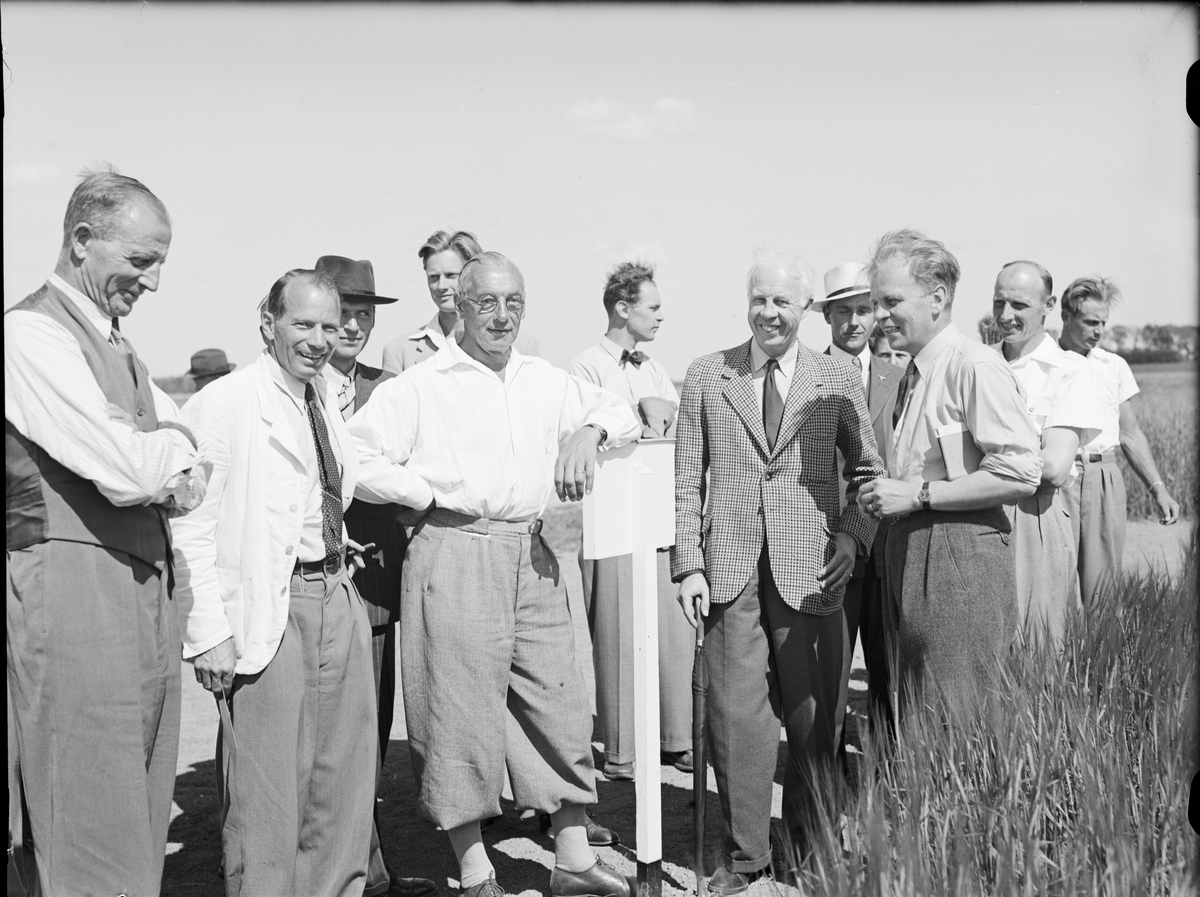 Paul Sandberg, Men standing by road, Uppland 1947