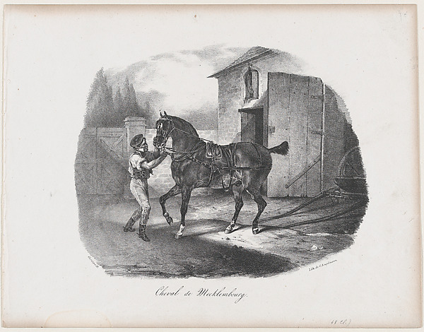 Théodore Géricault, The Horse of Mecklembourg
