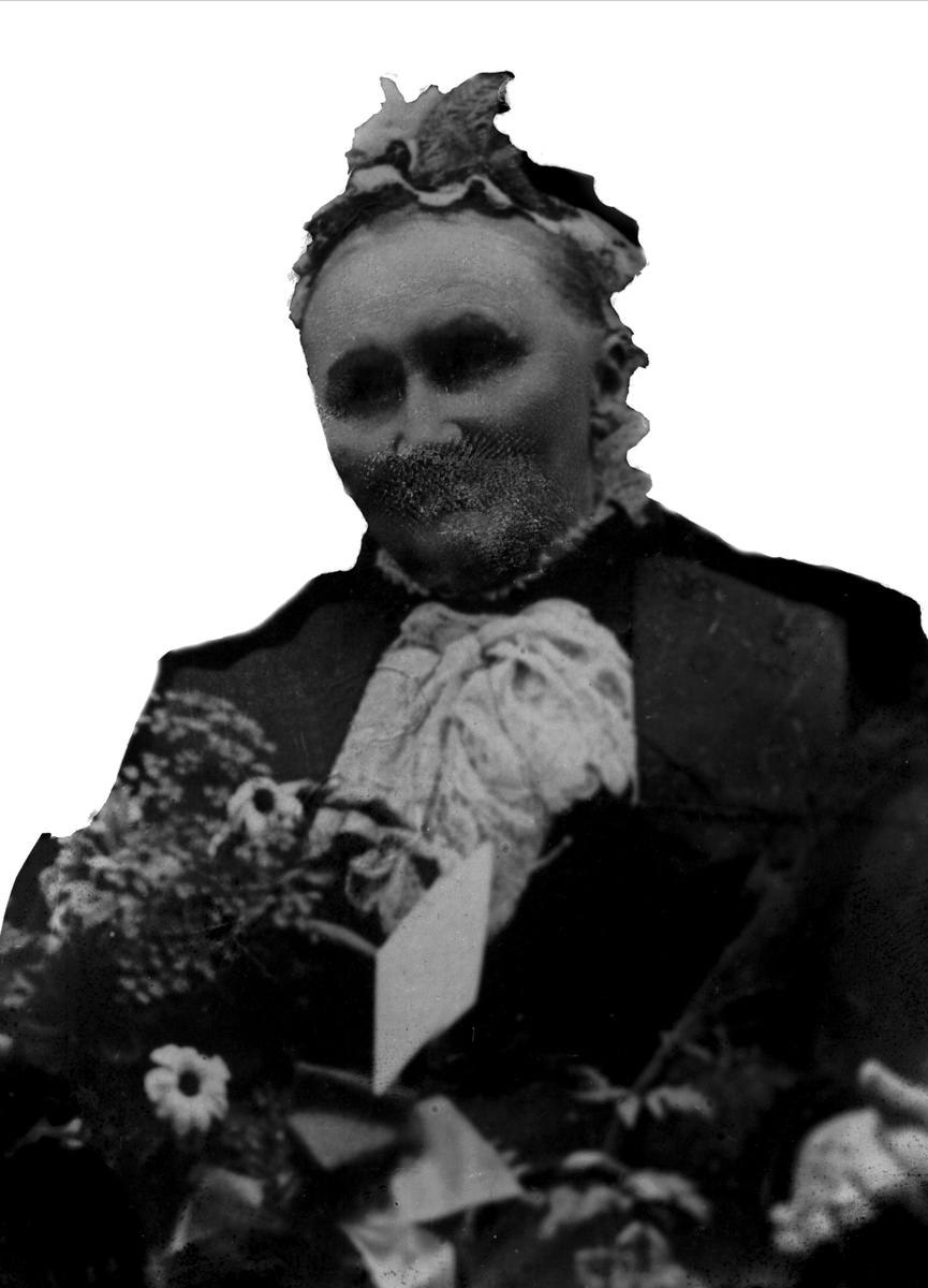 Gustav Borgen, Avfotografering.
