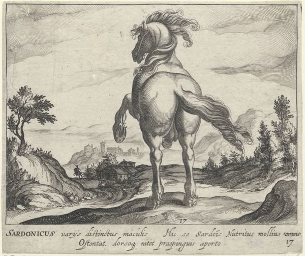 Panderen, Egbert van, (1581-1637?), (printmaker), Horse breeds: Landscape with a prancing horse from Sardinia
