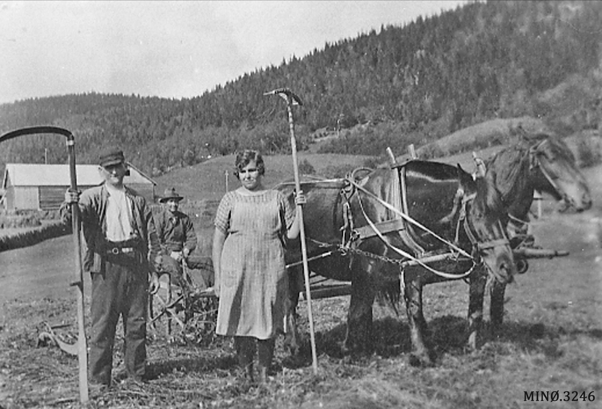 Jo Øvergaard, To menn, en kvinne, ljå, rive, hest (Slåttonne).