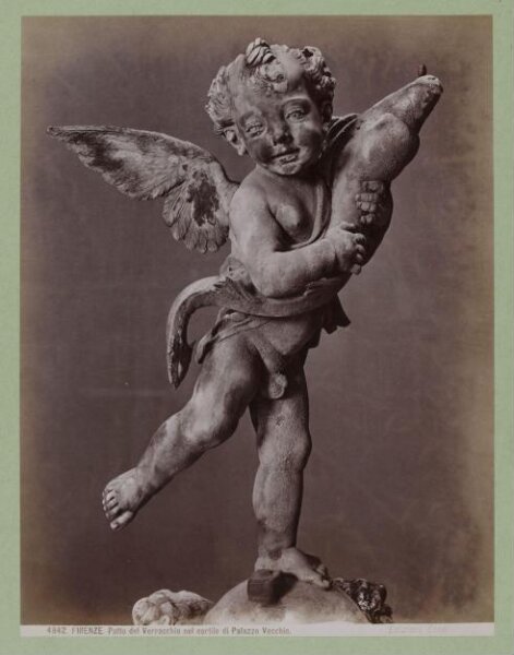 Unknown, Photograph