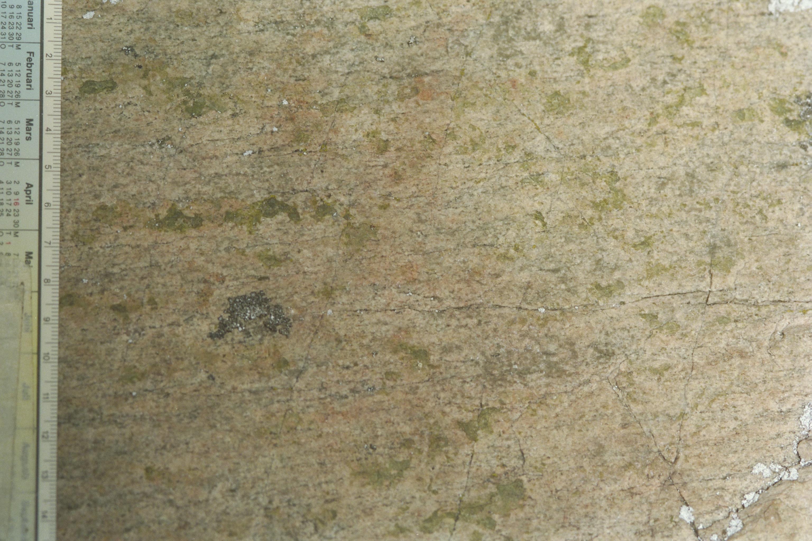 Bengt A Lundberg, Blomskog 146