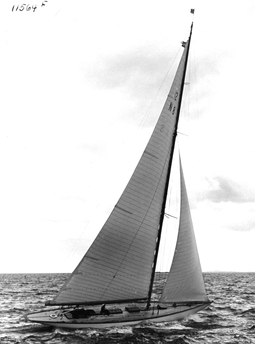 Anders Beer Wilse, Seilsport